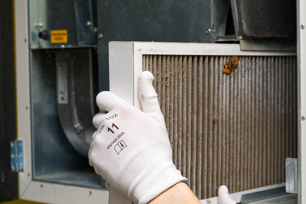 Best Duct Cleaning for Homes  in Laughlin, NV