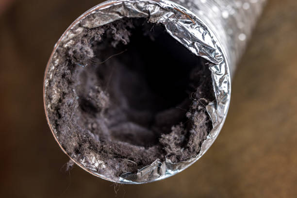 Best Affordable HVAC Duct Cleaning  in Laughlin, NV
