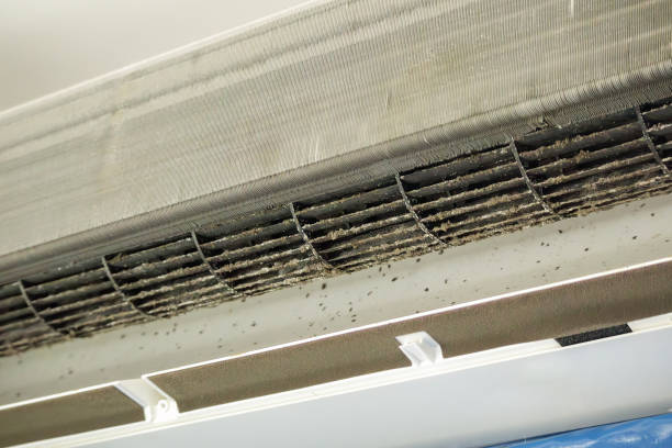 Best Residential Air Duct Cleaning  in Laughlin, NV